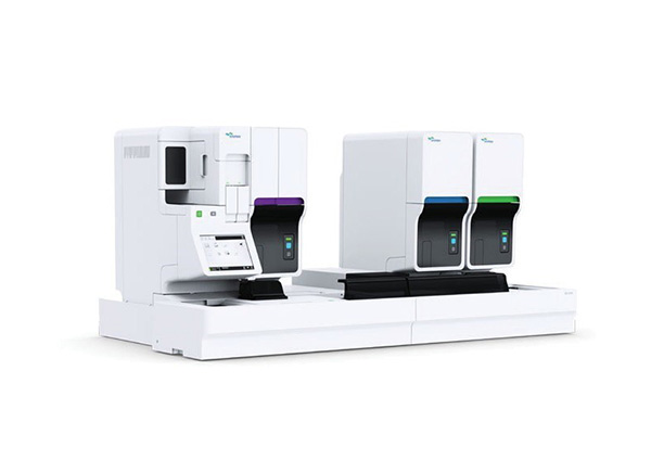 XN-3100