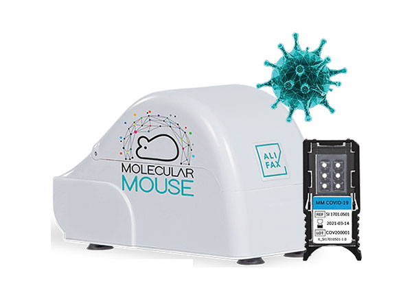 Molecular Mouse