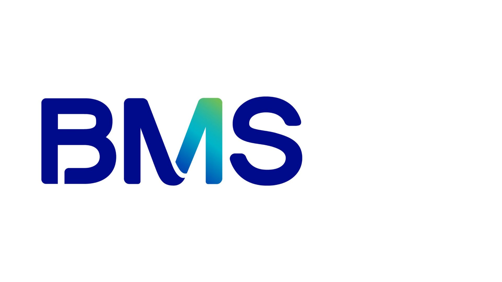 Logo Supplier_BMS